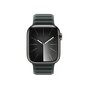 APPLE 41mm Evergreen Magnetic Link - M/L