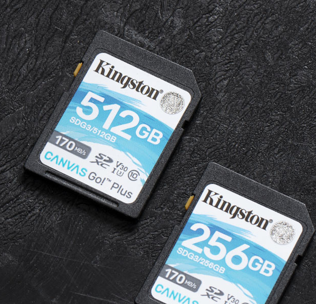 Karta pamięci Kingston SDG3/256GB dwie karty obok siebie 